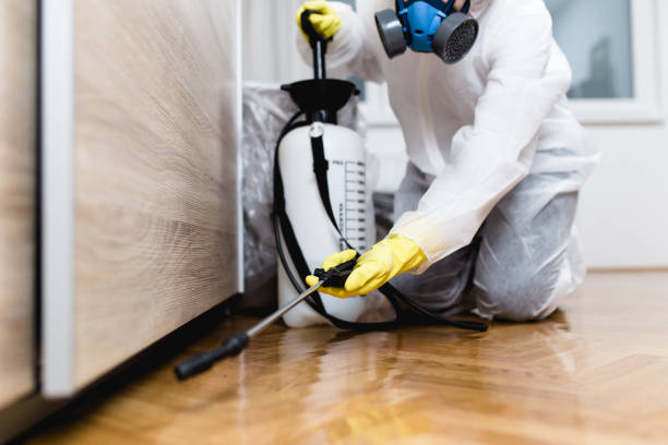 Best Pest Control Cost  in Clendon, AR