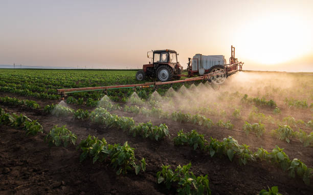 Best Pest Removal Services  in Clendon, AR