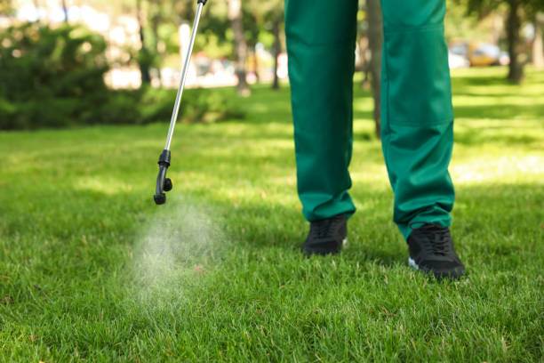 Best Cockroach Control Services  in Clendon, AR