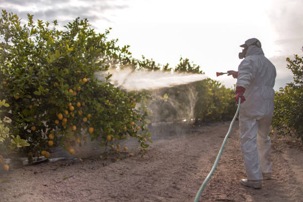 Best Wildlife Control Services  in Clendon, AR