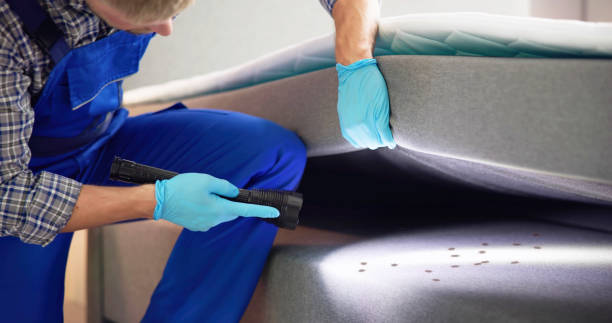 Best Mosquito Control Services  in Clendon, AR