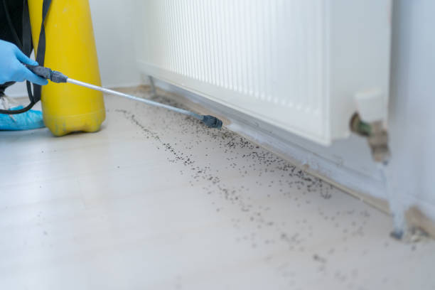 Best Local Pest Control Services  in Clendon, AR