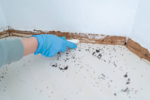 Professional Pest Control in Clarendon, AR