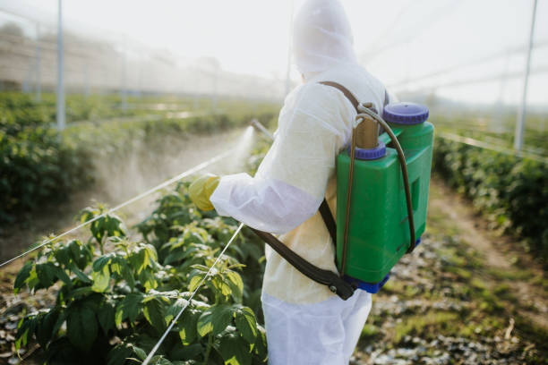 Best Commercial Pest Control Services  in Clendon, AR